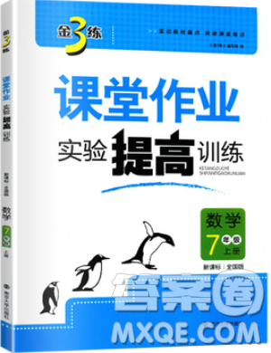 2019秋金3練課堂作業(yè)實驗提高訓練數(shù)學七年級上冊新課標全國版參考答案