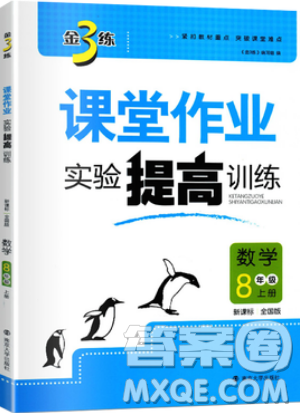2019秋金3練課堂作業(yè)實驗提高訓練數(shù)學八年級上冊新課標全國版參考答案