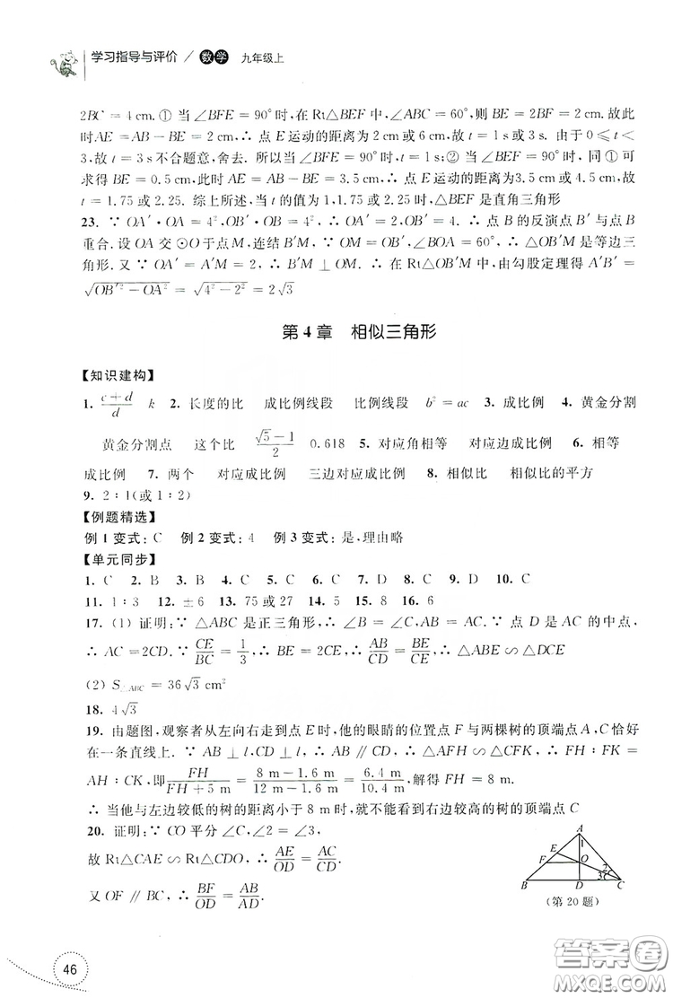 浙江教育出版社2019學習指導與評價九年級數(shù)學上冊答案
