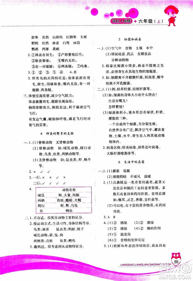 2019年新課標兩導兩練高效學案科學六年級上冊河北人民版參考答案