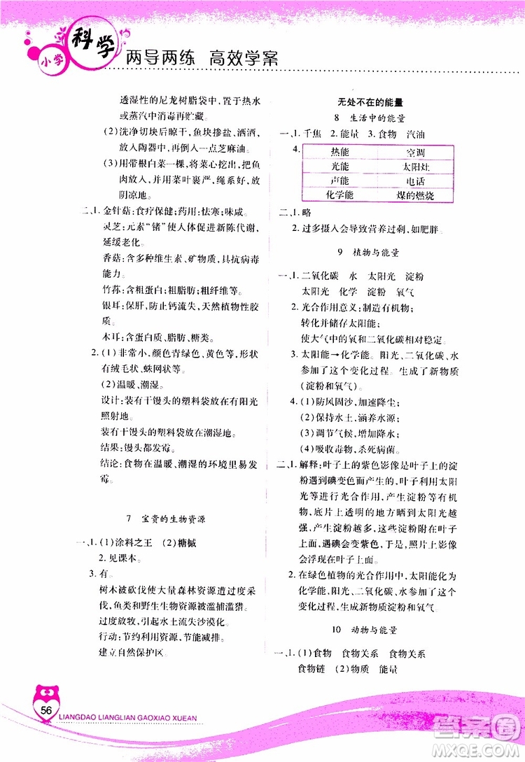 2019年新課標兩導兩練高效學案科學六年級上冊河北人民版參考答案