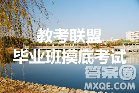 2020屆教考聯(lián)盟畢業(yè)班摸底測(cè)試?yán)頂?shù)答案