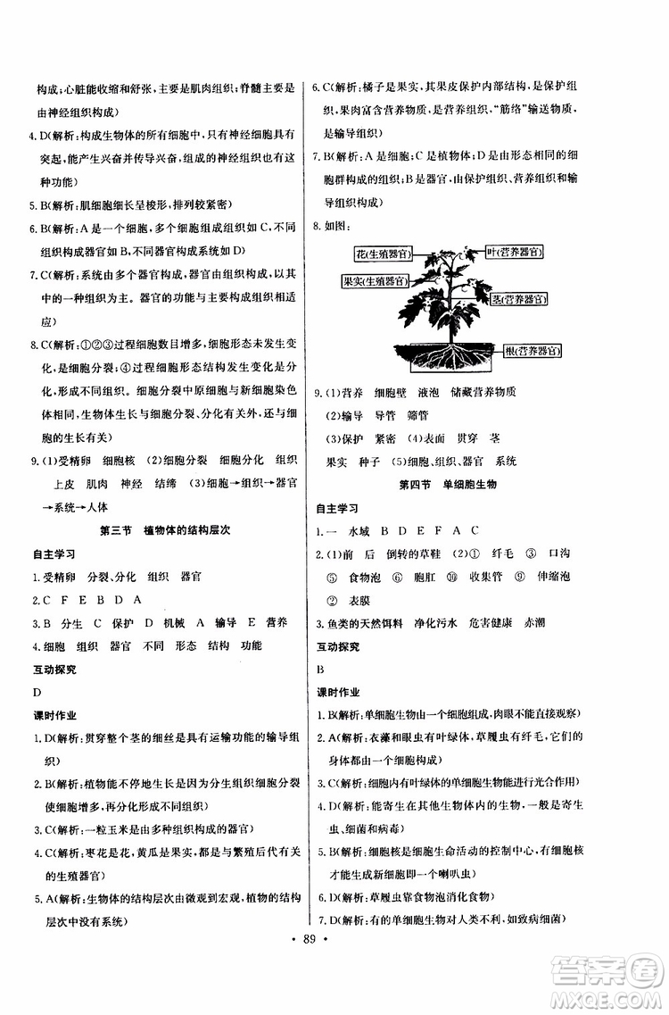 2019版長江全能學(xué)案同步練習(xí)冊初中七年級上冊生物學(xué)人教版參考答案
