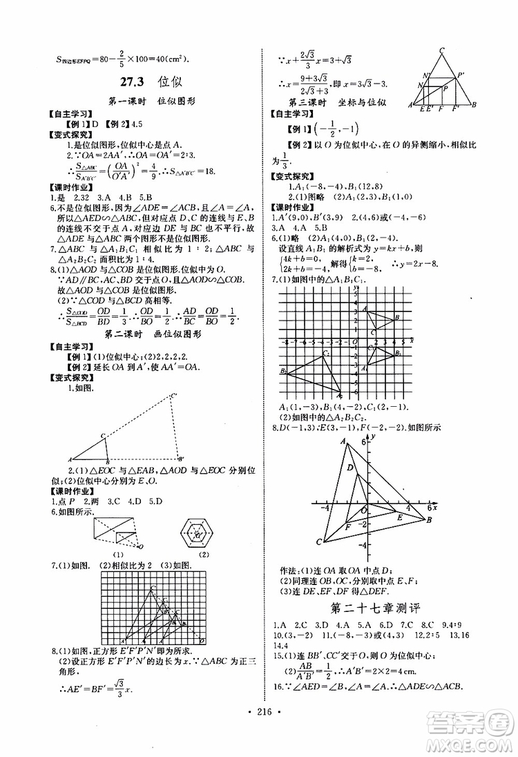 2019新版長(zhǎng)江全能學(xué)案同步練習(xí)冊(cè)數(shù)學(xué)九年級(jí)全一冊(cè)人教版參考答案