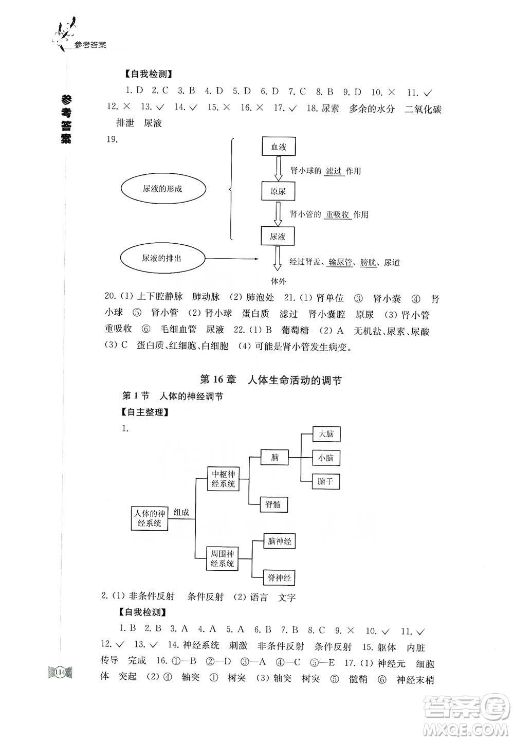 江蘇鳳凰教育出版社2019學習與評價八年級生物上冊蘇教版答案