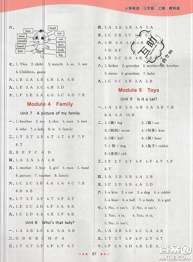 2019年53天天練小學英語三年級上冊教科版廣州專用參考答案