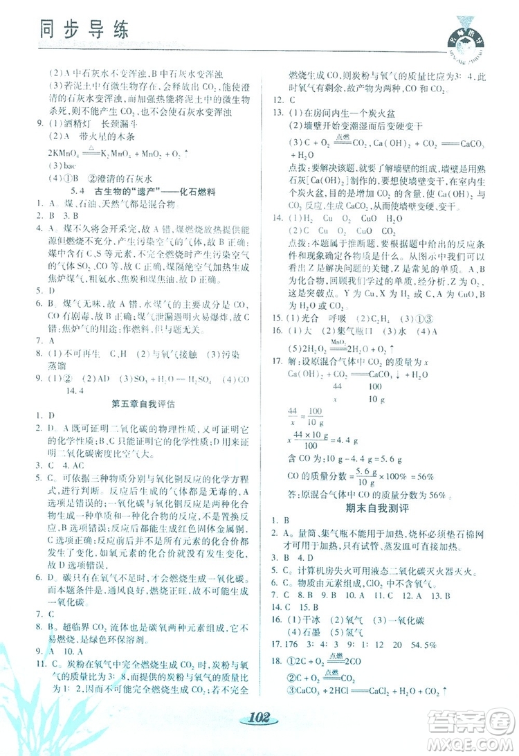 陜西科學技術(shù)出版社2019新課標教材同步導練九年級化學上冊答案