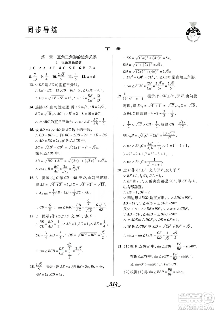 陜西科學技術出版社2019新課標教材同步導練九年級數學全一冊答案
