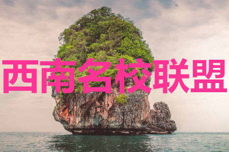 2020屆西南名校聯(lián)盟高考適應性月考卷二語文試題及參考答案