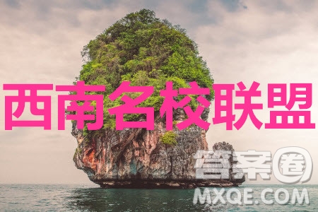 2020屆西南名校聯(lián)盟高考適應(yīng)性月考卷二英語(yǔ)試題及參考答案