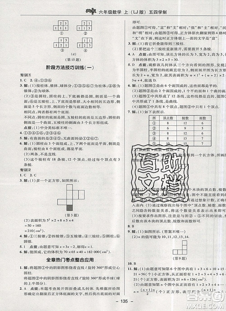 2019年綜合應(yīng)用創(chuàng)新題典中點六年級數(shù)學(xué)上冊魯教版參考答案