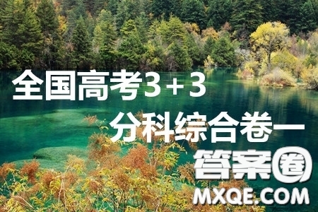 2020屆全國(guó)高考3+3分科綜合卷一化學(xué)試題及答案解析