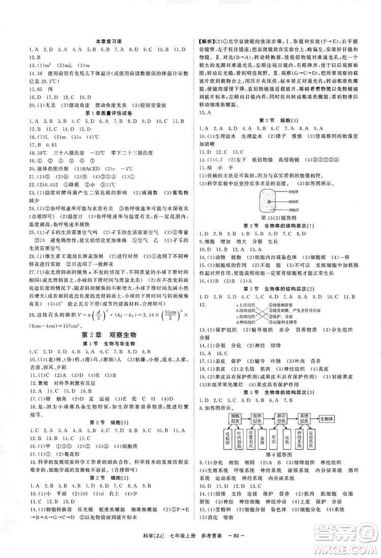 2019全效提分卷七年級科學上冊浙江版答案
