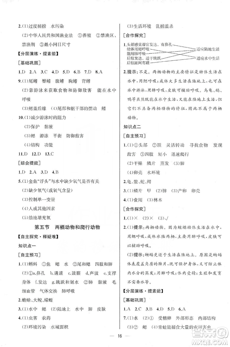 同步學(xué)歷案課時練2019八年級生物學(xué)上冊人教版答案
