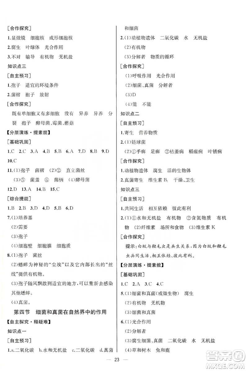 同步學(xué)歷案課時練2019八年級生物學(xué)上冊人教版答案