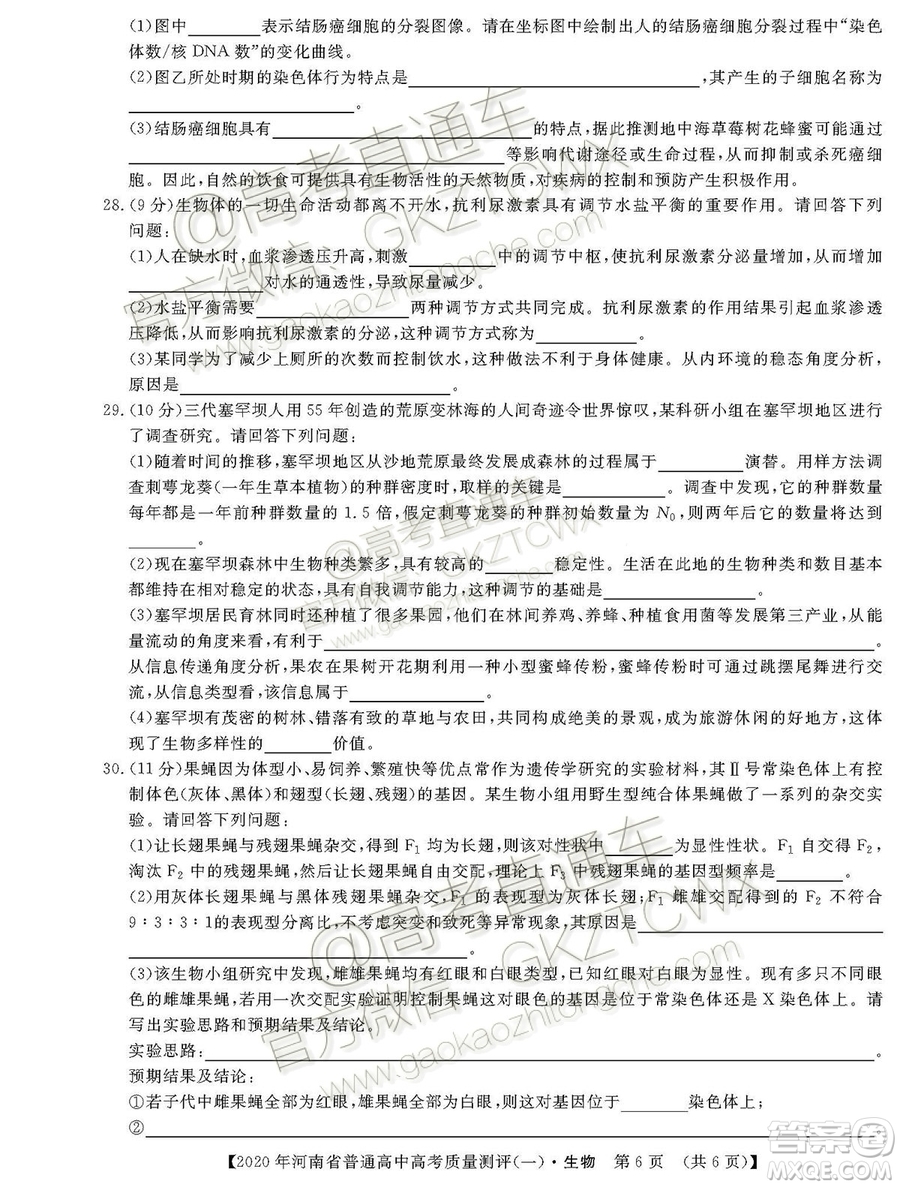 2020屆河南大象聯(lián)考測(cè)評(píng)一生物試題及參考答案