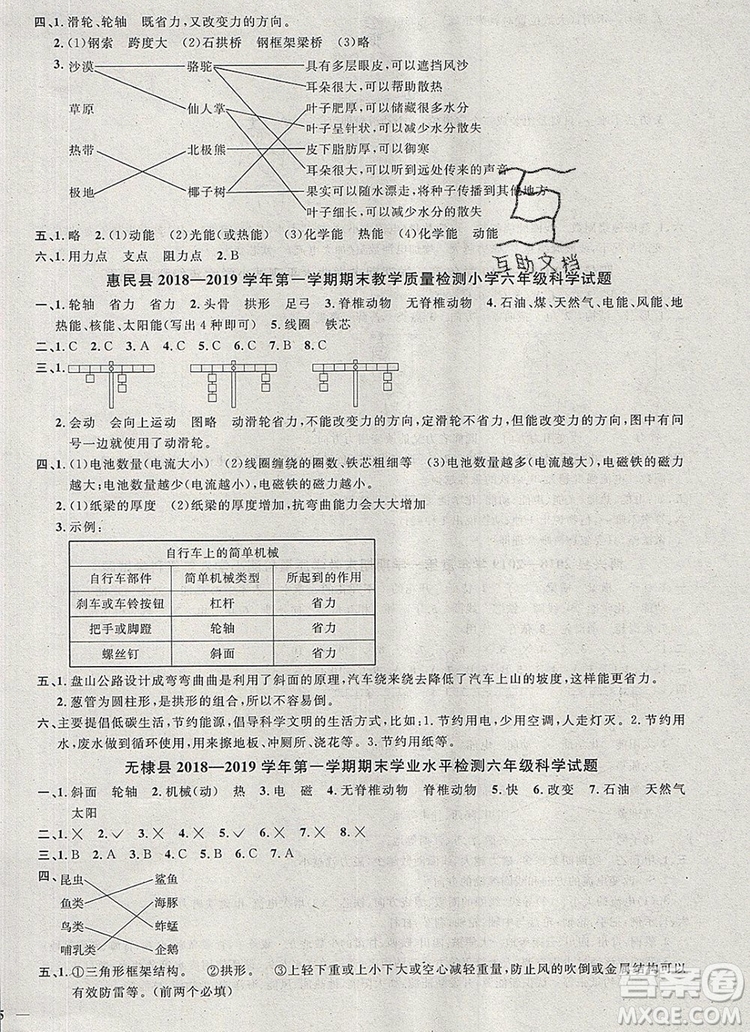 2019年陽光同學(xué)課時優(yōu)化作業(yè)六年級科學(xué)上冊教科版參考答案