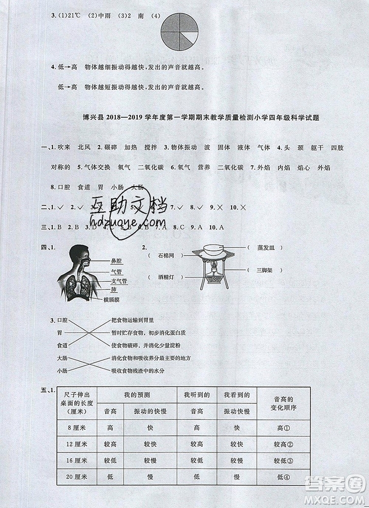 2019年陽光同學(xué)課時優(yōu)化作業(yè)四年級科學(xué)上冊教科版參考答案