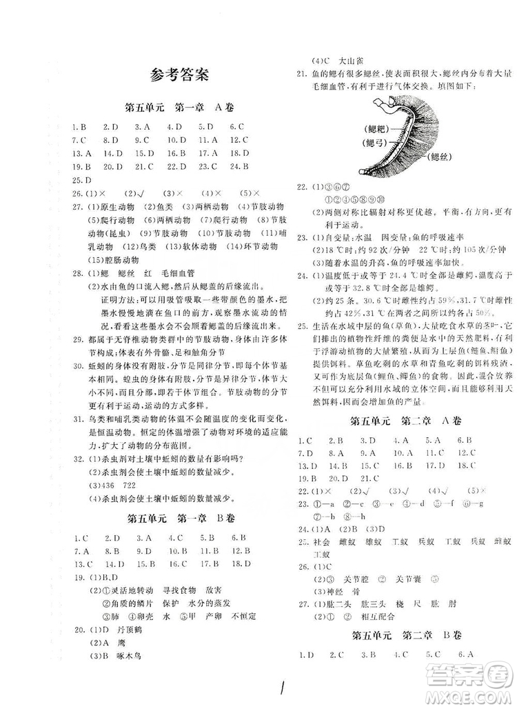北京教育出版社2019新課堂AB卷單元測試八年級生物學(xué)上冊配人民教育版答案
