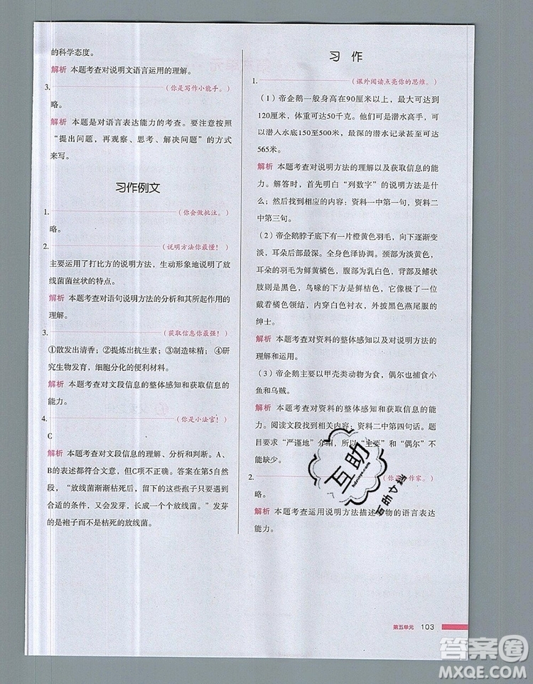 2019年一本我愛寫作業(yè)小學(xué)語文五年級(jí)上冊(cè)人教版參考答案