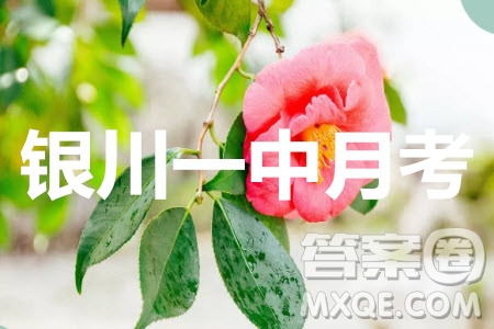 2020屆銀川一中高三年級第二次月考英語試題及答案