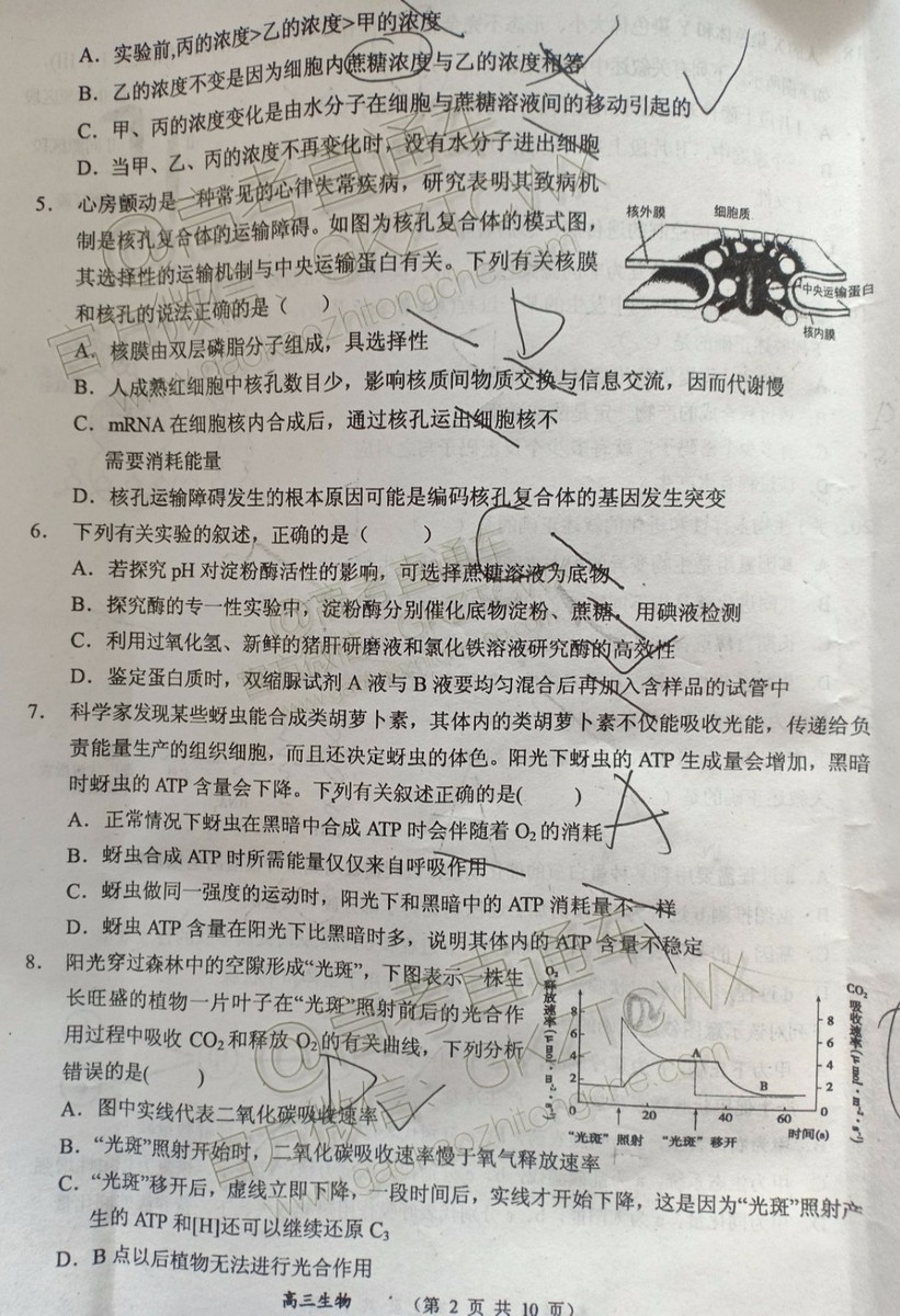 大同市2020屆高三年級(jí)第一次聯(lián)合考試市直生物試題及參考答案