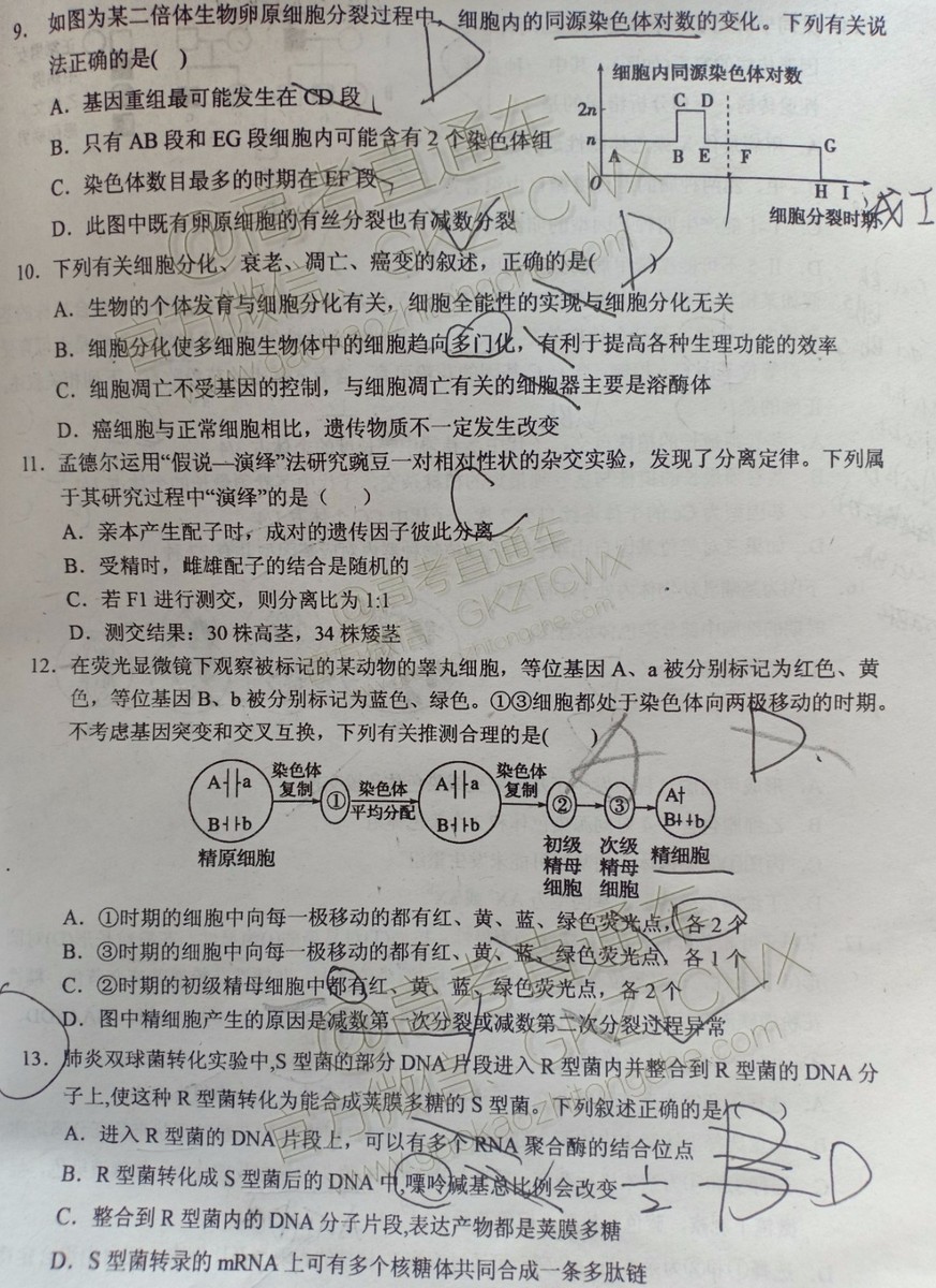 大同市2020屆高三年級(jí)第一次聯(lián)合考試市直生物試題及參考答案