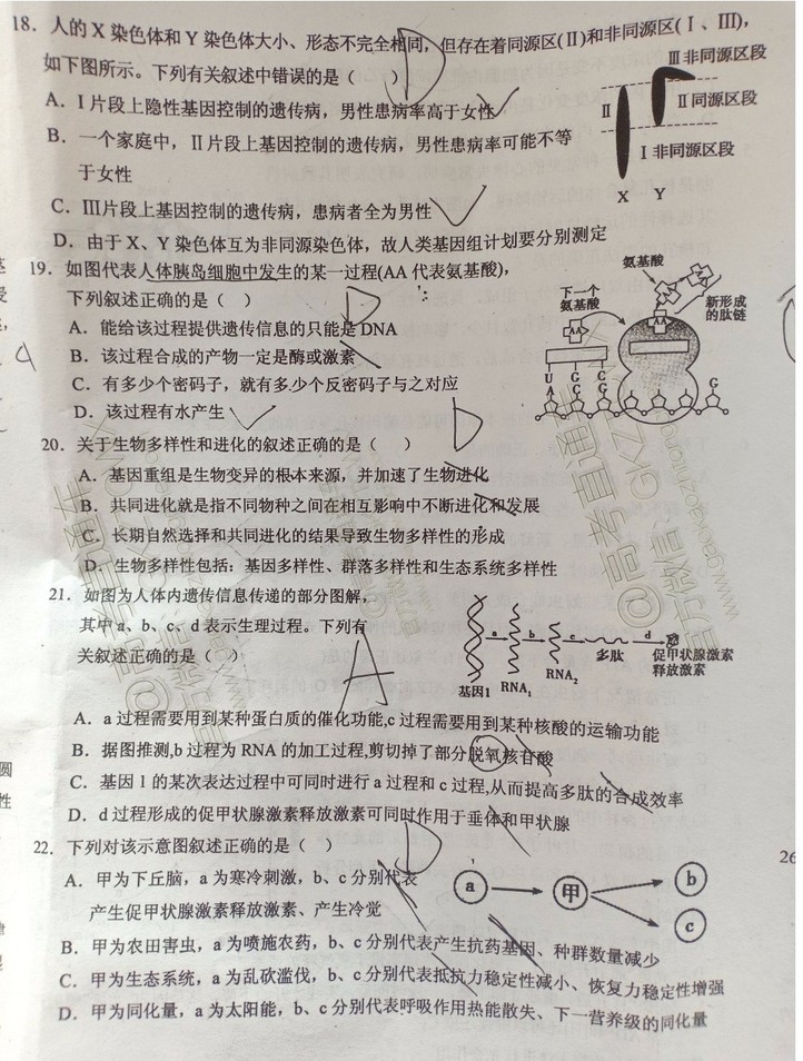 大同市2020屆高三年級(jí)第一次聯(lián)合考試市直生物試題及參考答案