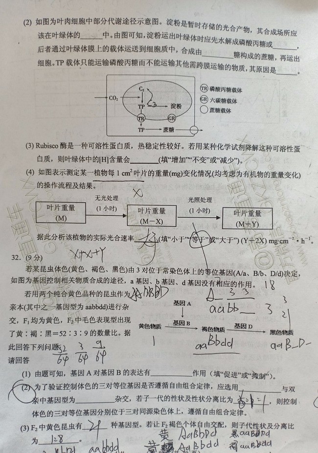 大同市2020屆高三年級(jí)第一次聯(lián)合考試市直生物試題及參考答案