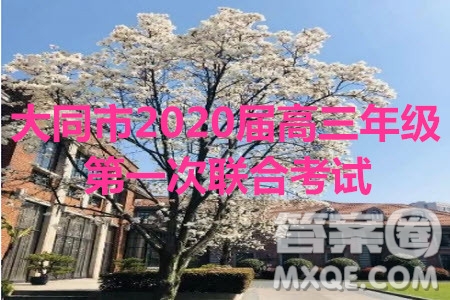 大同市2020屆高三年級第一次聯合考試市直政治試題及參考答案