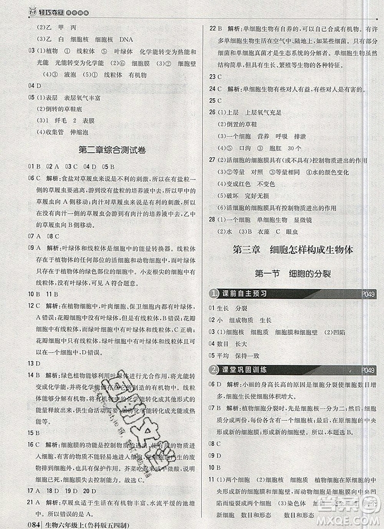 1加1輕巧奪冠優(yōu)化訓(xùn)練六年級(jí)生物上冊(cè)魯科版五四制銀版2019年秋參考答案