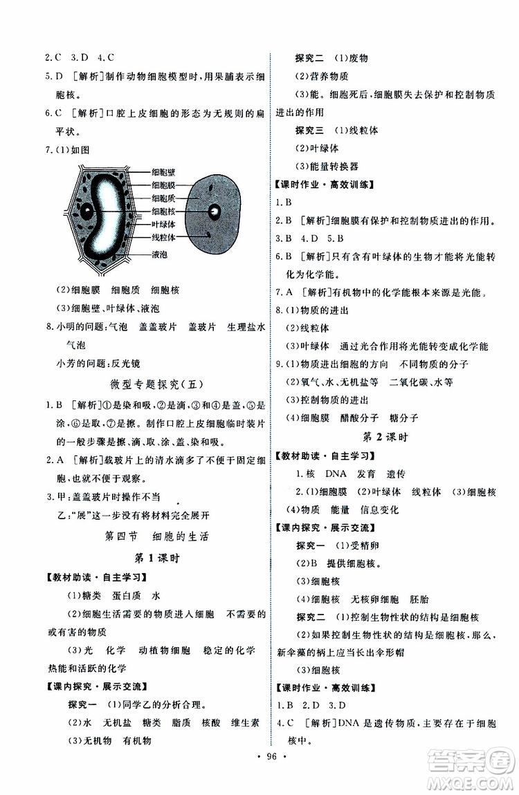 2019年能力培養(yǎng)與測試生物學(xué)七年級(jí)上冊人教版參考答案