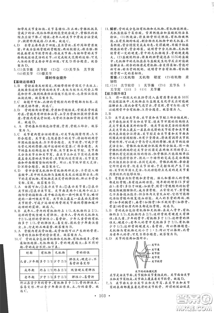 海南出版社2019新課程同步練習(xí)冊(cè)八年級(jí)生物上冊(cè)北師大版答案