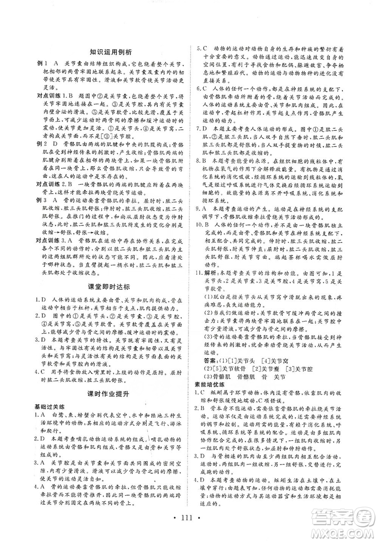 海南出版社2019新課程同步練習(xí)冊八年級生物上冊人教版答案