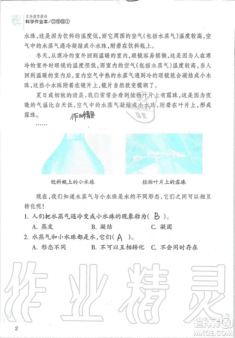 浙江教育出版社2019義務(wù)教育教材科學(xué)作業(yè)本三年級上冊人教版答案