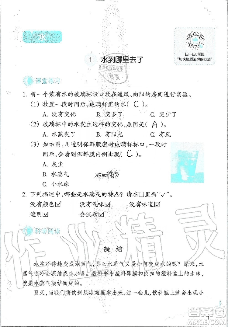 浙江教育出版社2019義務(wù)教育教材科學(xué)作業(yè)本三年級上冊人教版答案