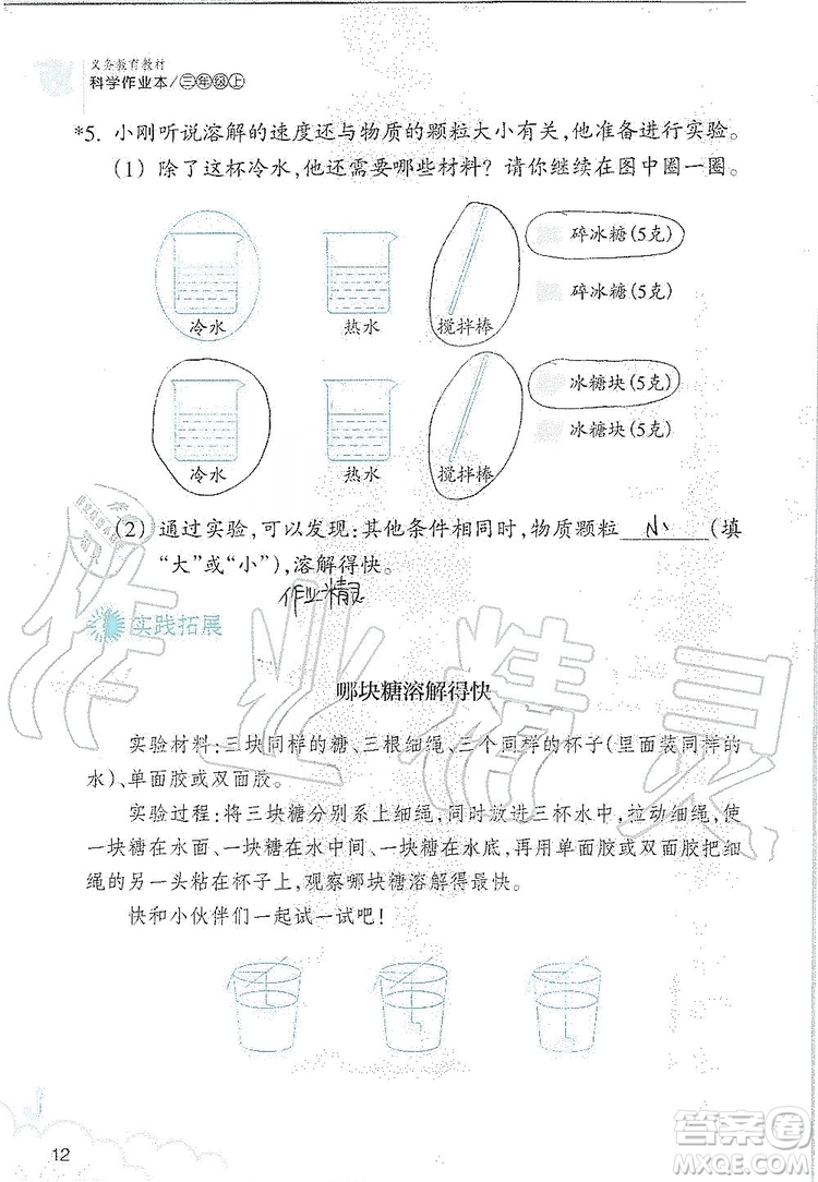 浙江教育出版社2019義務(wù)教育教材科學(xué)作業(yè)本三年級上冊人教版答案