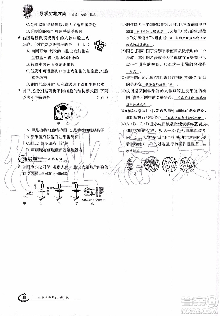 金太陽教育2019年金太陽導(dǎo)學(xué)案生物七年級上冊創(chuàng)新版參考答案