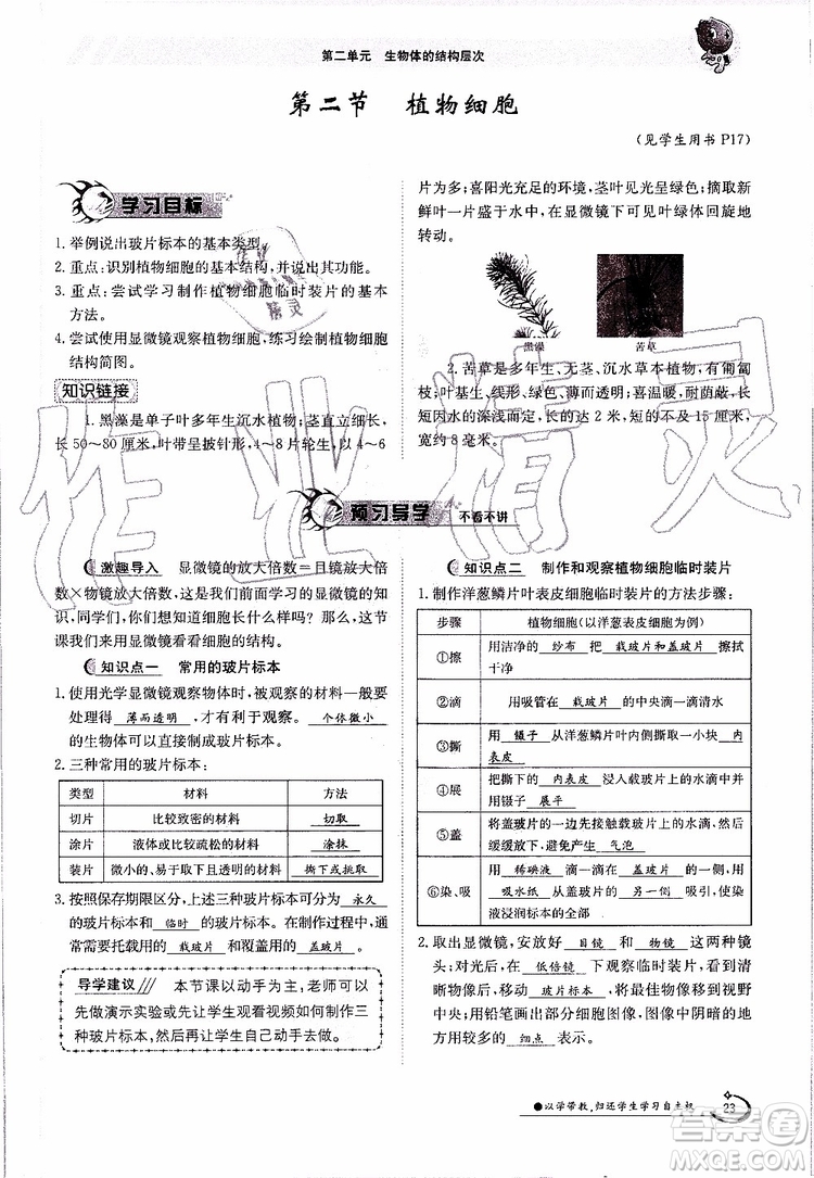 金太陽教育2019年金太陽導(dǎo)學(xué)案生物七年級上冊創(chuàng)新版參考答案