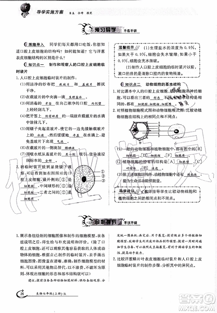 金太陽教育2019年金太陽導(dǎo)學(xué)案生物七年級上冊創(chuàng)新版參考答案