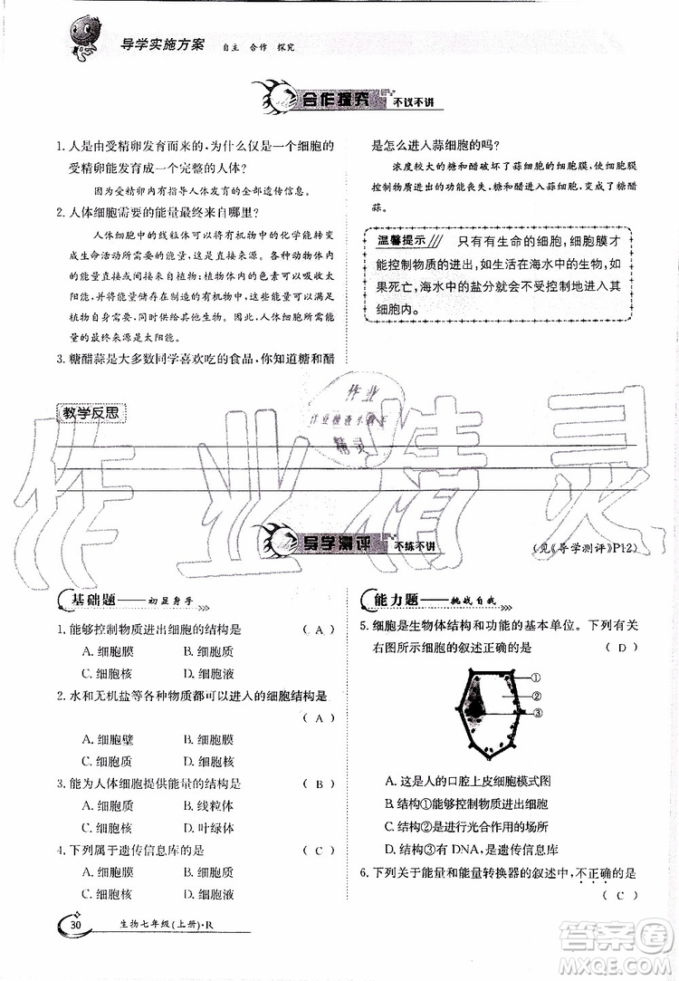 金太陽教育2019年金太陽導(dǎo)學(xué)案生物七年級上冊創(chuàng)新版參考答案
