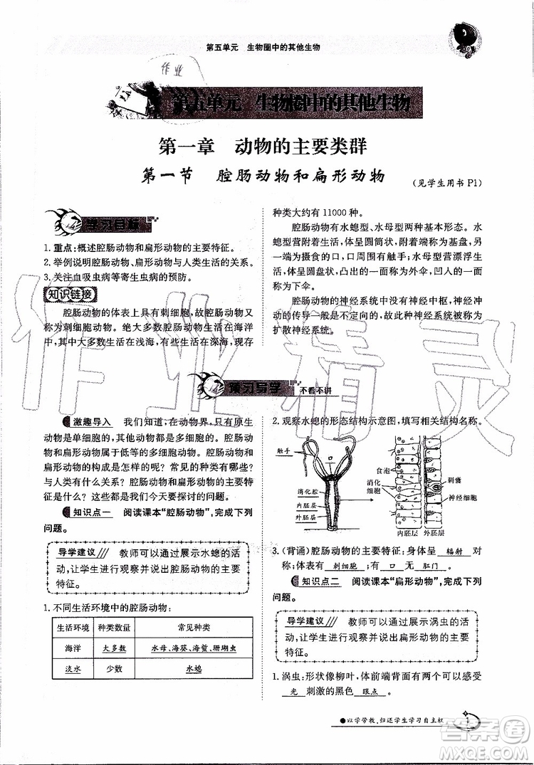金太陽教育2019年金太陽導(dǎo)學(xué)案生物八年級(jí)上冊(cè)創(chuàng)新版參考答案