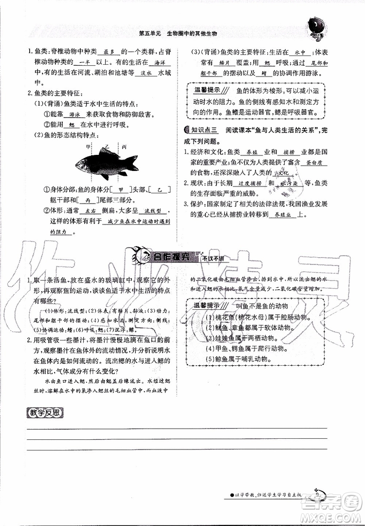 金太陽教育2019年金太陽導(dǎo)學(xué)案生物八年級(jí)上冊(cè)創(chuàng)新版參考答案