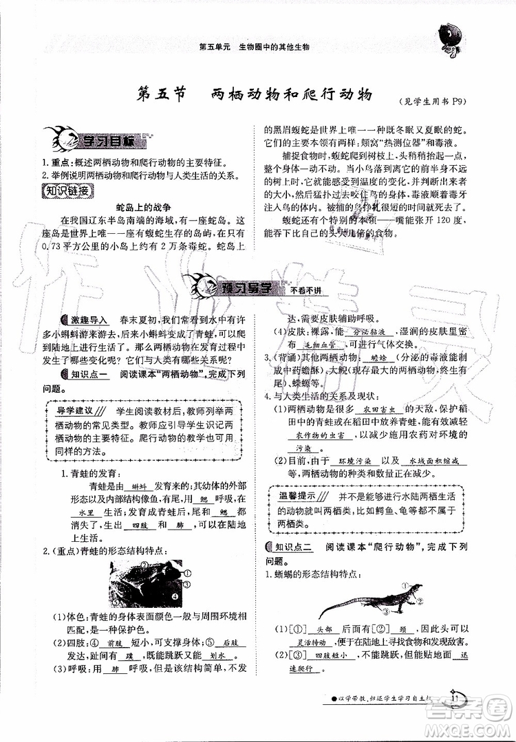 金太陽教育2019年金太陽導(dǎo)學(xué)案生物八年級(jí)上冊(cè)創(chuàng)新版參考答案