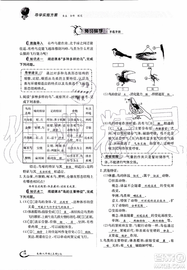 金太陽教育2019年金太陽導(dǎo)學(xué)案生物八年級(jí)上冊(cè)創(chuàng)新版參考答案