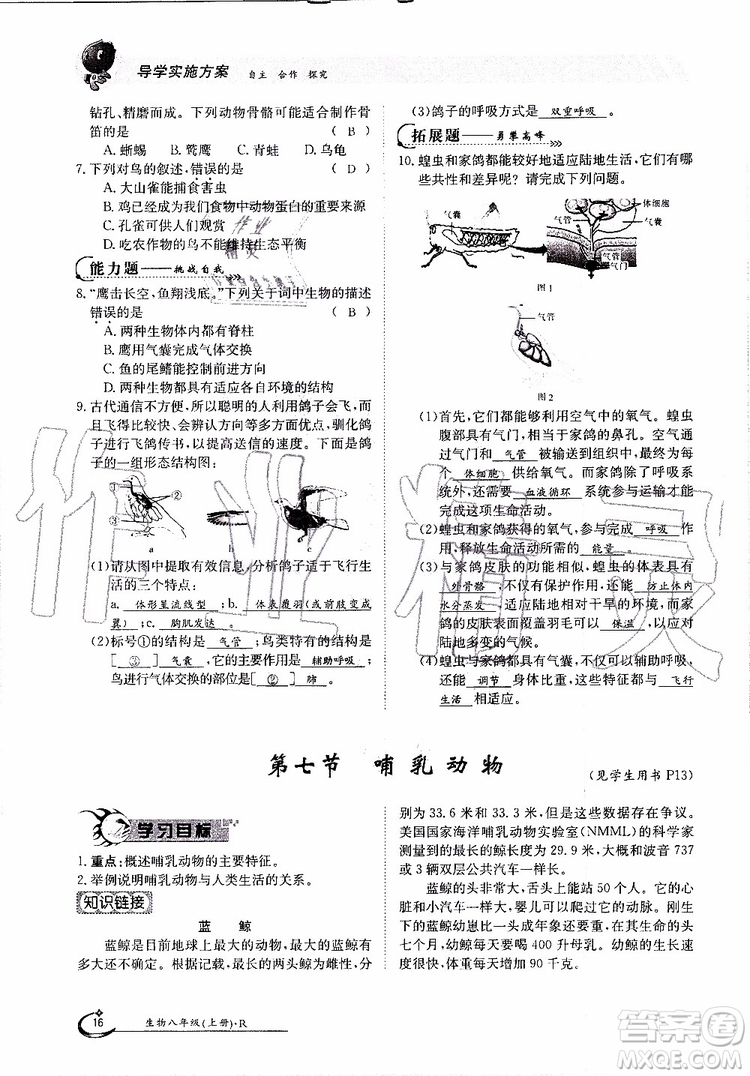 金太陽教育2019年金太陽導(dǎo)學(xué)案生物八年級(jí)上冊(cè)創(chuàng)新版參考答案