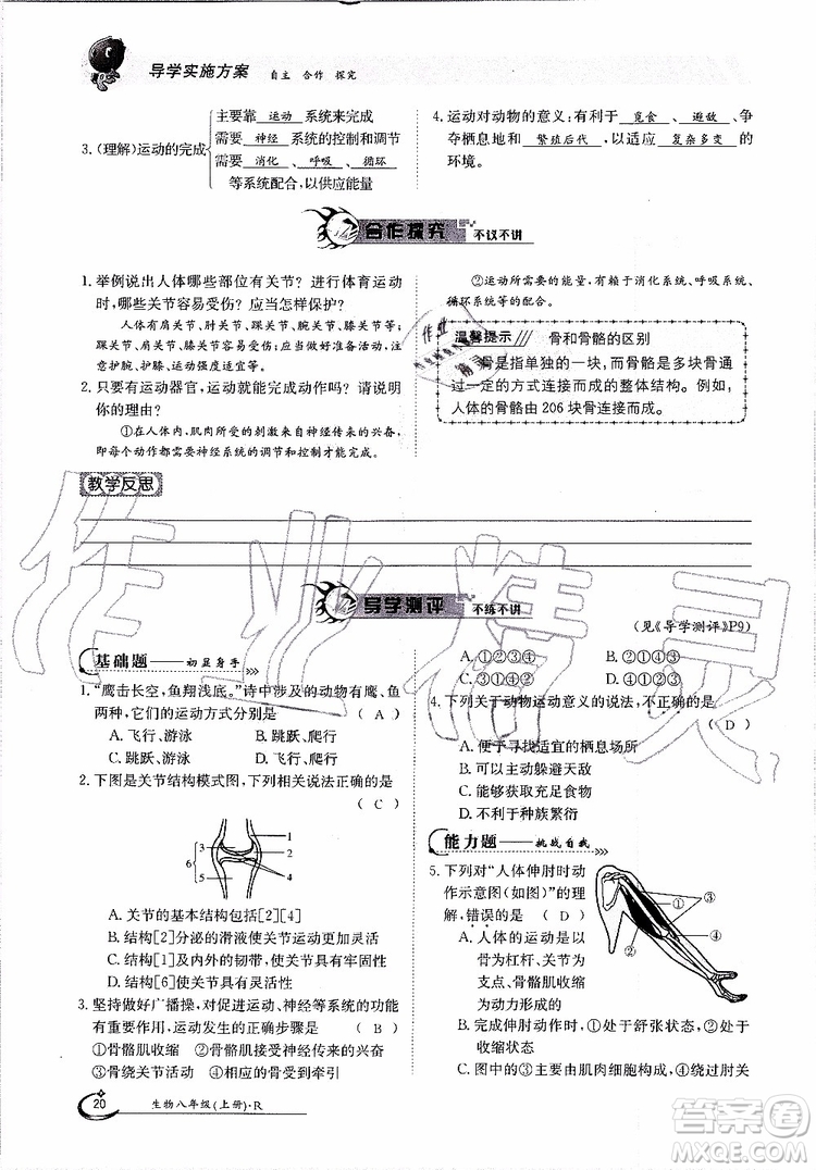金太陽教育2019年金太陽導(dǎo)學(xué)案生物八年級(jí)上冊(cè)創(chuàng)新版參考答案