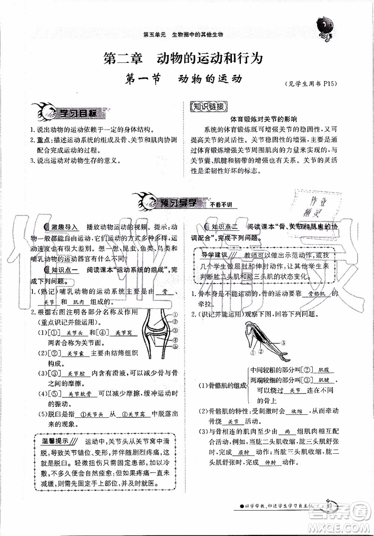 金太陽教育2019年金太陽導(dǎo)學(xué)案生物八年級(jí)上冊(cè)創(chuàng)新版參考答案