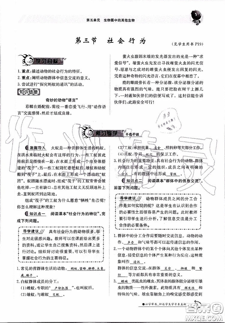 金太陽教育2019年金太陽導(dǎo)學(xué)案生物八年級(jí)上冊(cè)創(chuàng)新版參考答案