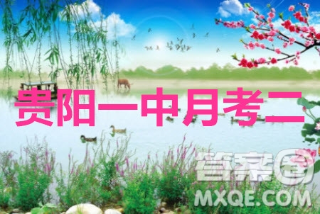 2020屆貴陽(yáng)一中高考適應(yīng)性月考二理綜試題及參考答案